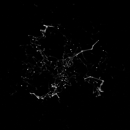 Black Code preview GIF